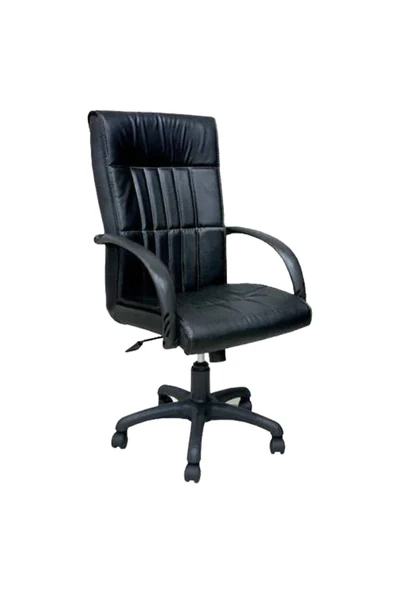 Koltukstilim   Stella Pls Müdür Koltuğu ürün görseli