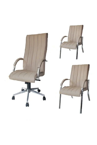 Koltukstilim   Diana Tpk Krom Müdür Koltuk Takımı