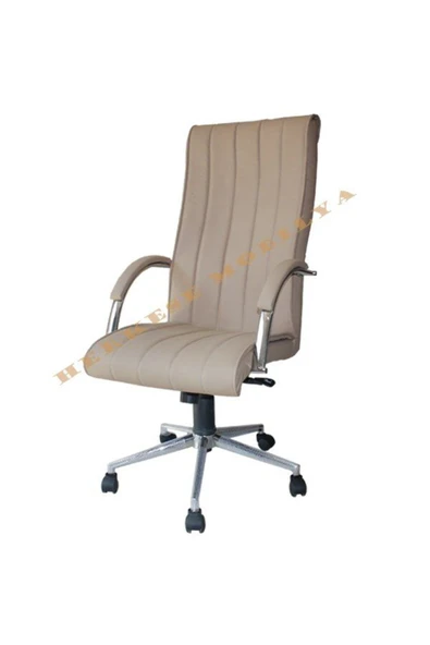 Koltukstilim   Diana Tpk Krom Müdür Koltuk Takımı - 3