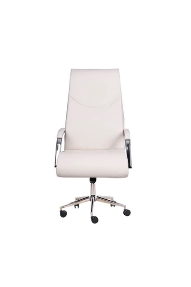 Koltukstilim   Aylin Yönetici Koltuğu - Resim 2