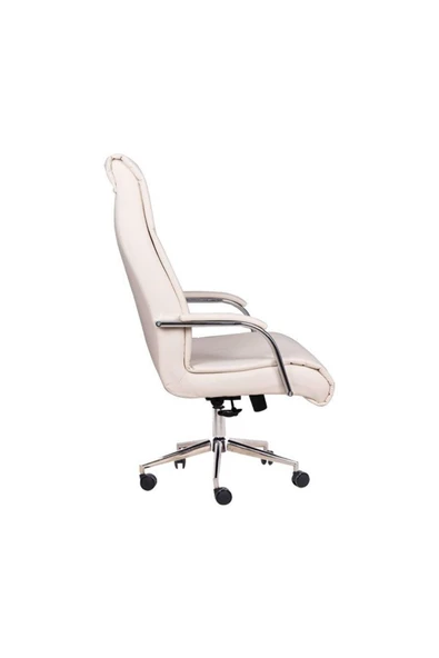 Koltukstilim   Aylin Yönetici Koltuğu - Resim 3