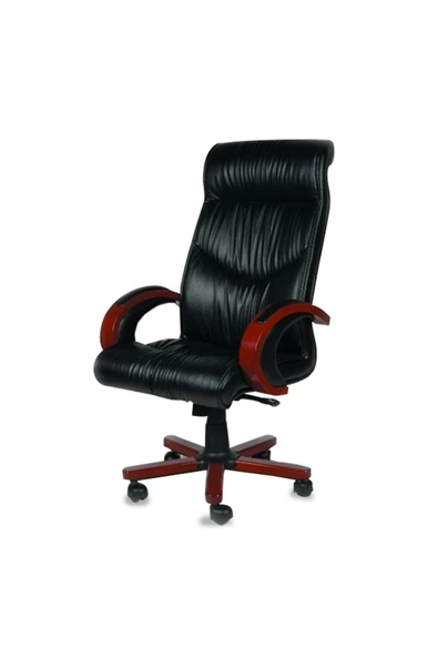 Koltukstilim   Profesyonel Büro Koltuğu