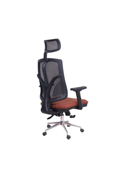 Koltukstilim   Theori Yönetici Koltuğu - Resim 4