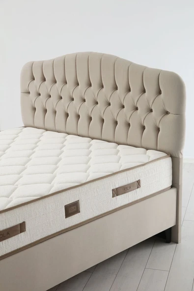 Minar İlkbahar Baza Başlık Yatak Seti 160X200 - Siyah Ayak Asya02 - Resim 2