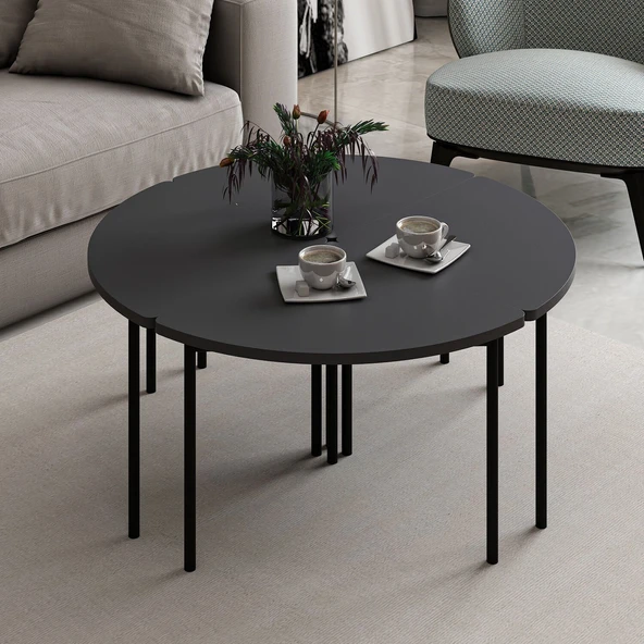 Minar Emma Zigonlu Orta Sehpa Takım-Antr Antr - Resim 2