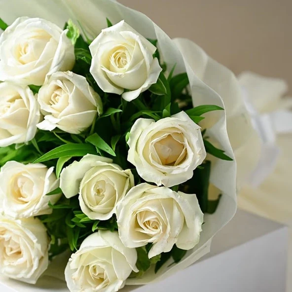 Tüplü Kordes Rosen White Masquerade Yediveren Gül Fidanı - 1