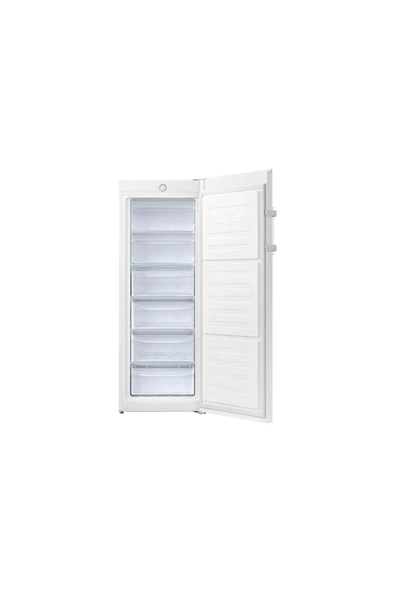 SAMSUNG RZ20DG3001WWTR  160Lt Tek Kapılı Derin Dondurucu - 4
