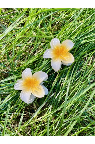 2'li Küçük Boy Lotus Çiçeği Mandal Toka 4.5 Cm - 2