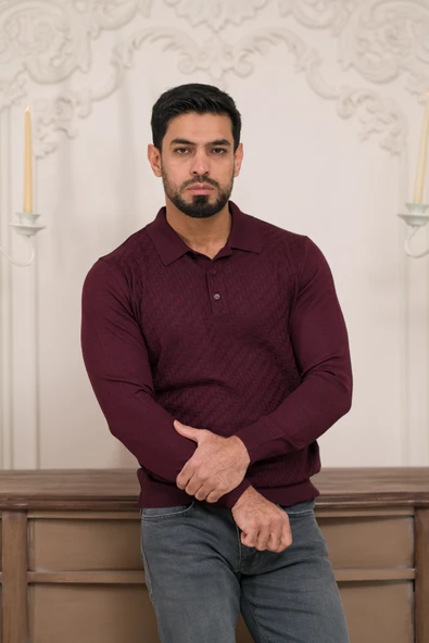 Woolen World Polo Yaka Slimfit Desenli Yünlü Erkek Triko Kazak - 11