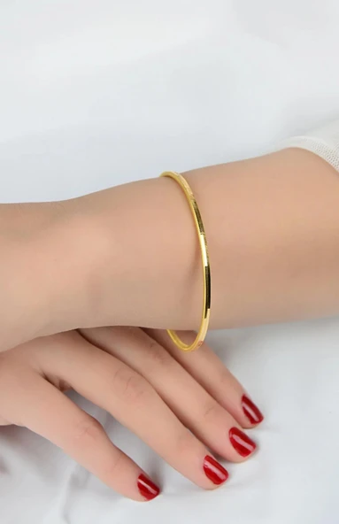 22 AYAR GOLD RENK OLUKLU AJDA ( BİR ADET )