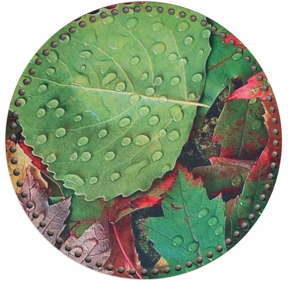 Çanta Aksesuar 30 Cm Çapında Resimli Ahşap Tepsi Tabanı No7 ürün görseli 1