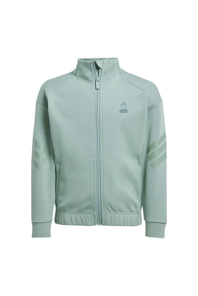 adidas Erkek  Yeşil  Ceket LK SW MNDO TT JF3653