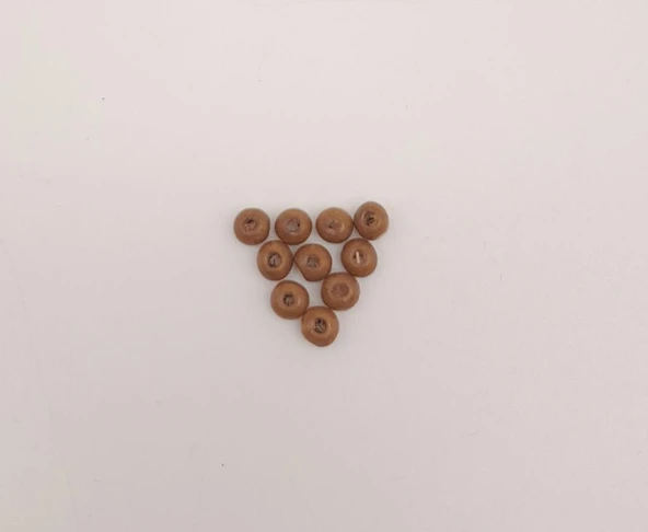 Çanta Aksesuar 4mm 10 Adet Ahşap Yuvarlak Boncuk