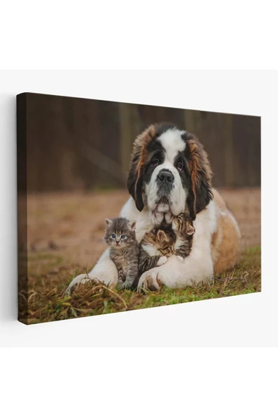 St. Bernard  Köpek ve Yavru Kediler Dekoratif Kanvas Tablo 1124