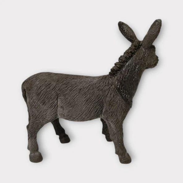 Çiftlik Hayvanları - Eşek - Resim 4