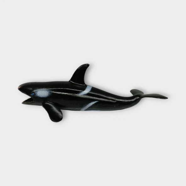 Deniz Hayvanları Köpek Balığı Serisi - Siyah - Resim 4