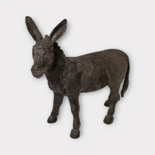 Çiftlik Hayvanları - Eşek - Resim 3