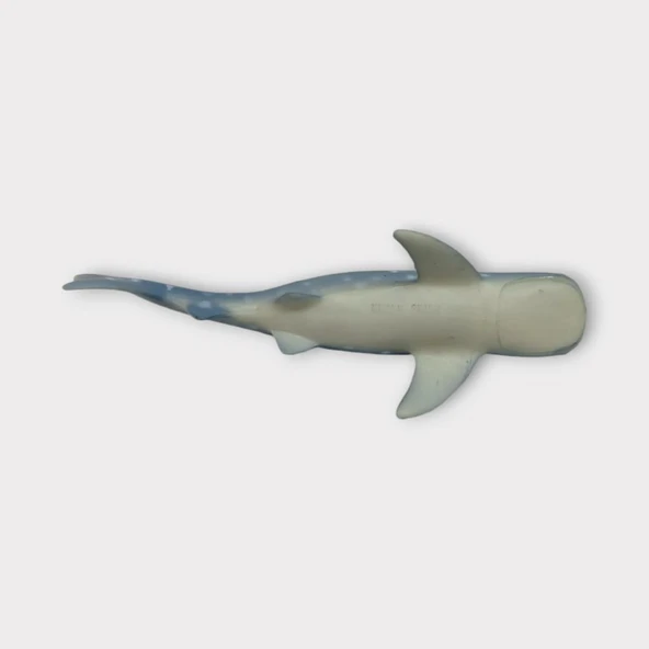 Deniz Hayvanları Köpek Balığı Serisi - Benekli - Resim 5