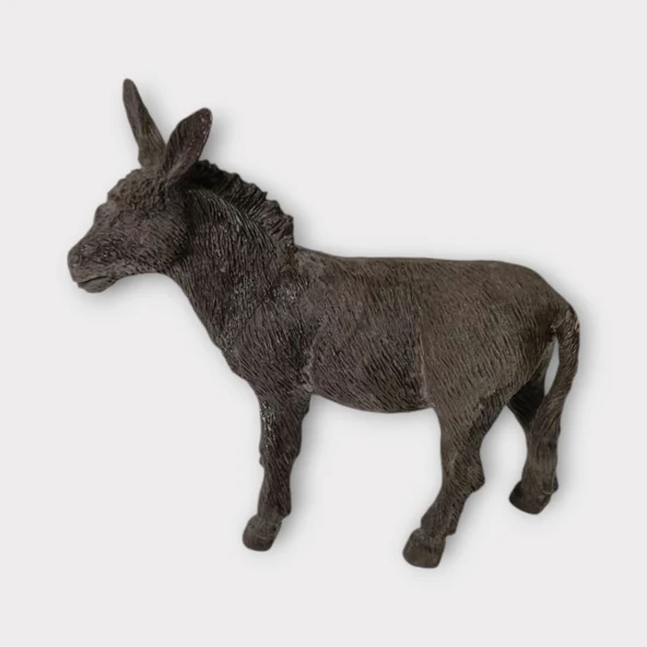 Çiftlik Hayvanları - Eşek - Resim 5