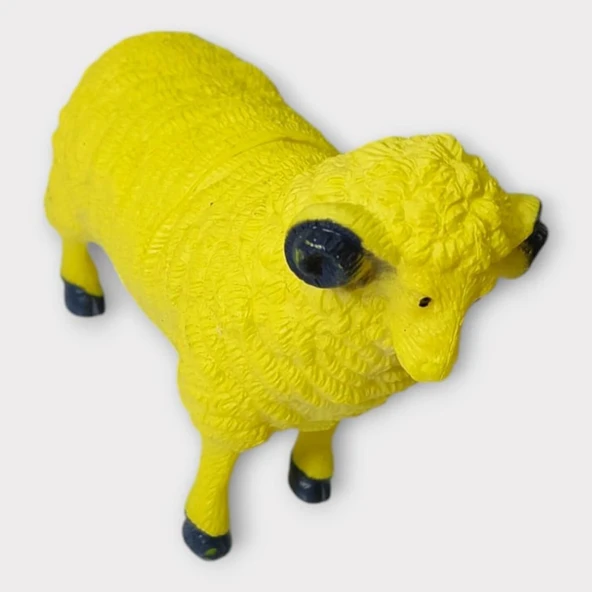 Çiftlik Hayvanları - Koyun - Resim 3