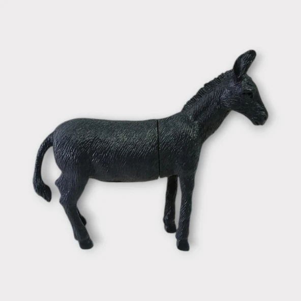 Çiftlik Hayvanları - Eşek - Resim 4