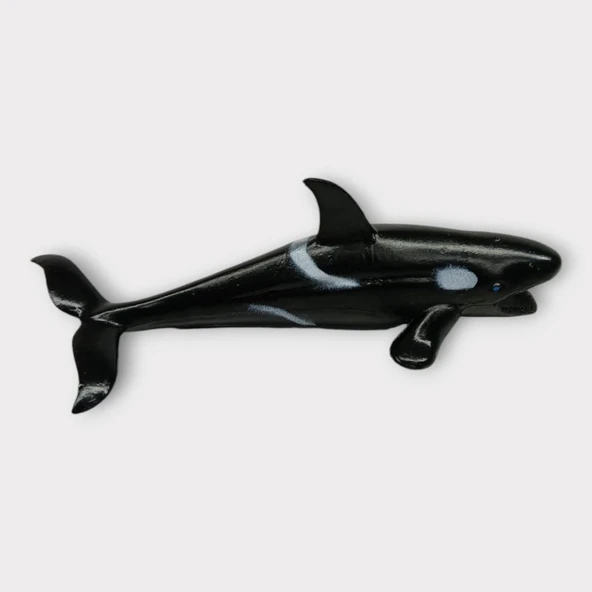Deniz Hayvanları Köpek Balığı Serisi - Siyah - Resim 5