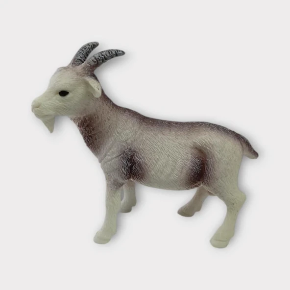 Çiftlik Hayvanları - Keçi ürün görseli