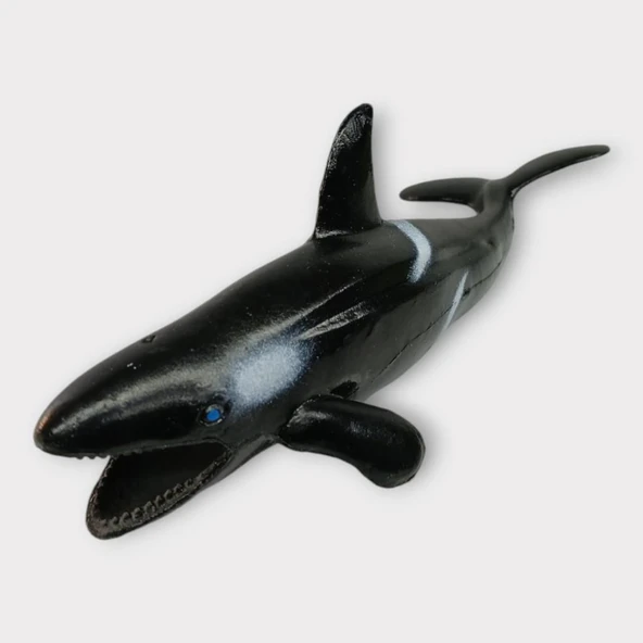 Deniz Hayvanları Köpek Balığı Serisi - Siyah ürün görseli