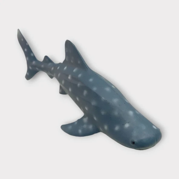 Deniz Hayvanları Köpek Balığı Serisi - Benekli - Resim 3