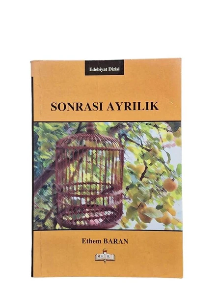SONRASI AYRILIK (İKİNCİ EL KİTAP)