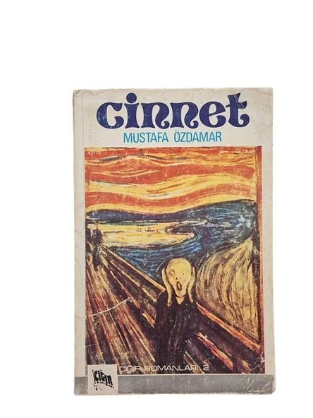 CİNNET (İKİNCİ EL KİTAP)