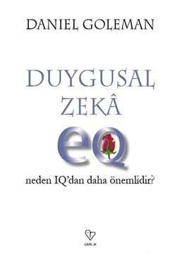 Duygusal Zeka Neden IQ'dan daha önemlidir? - Daniel Goleman