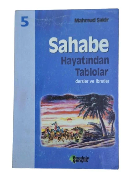 SAHABE HAYATINDAN TABLOLAR - DERSLER VE İBRETLER - 5 (İKİNCİ EL KİTAP)