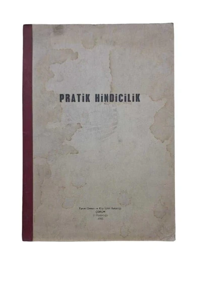 PRATİK HİNDİCİLİK (İKİNCİ EL KİTAP)