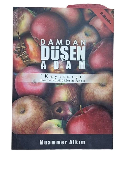 DAMDAN DÜŞEN ADAM "KAYITDIŞI" BÜTÜN KÖTÜLÜKLERİN ANASI (İKİNCİ EL KİTAP)