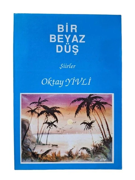 BİR BEYAZ DÜŞ (İKİNCİ EL KİTAP)