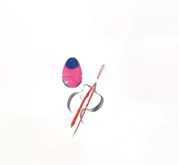 Xesta Tai-Raba Scramble Egg 60gr Yem - Resim 4