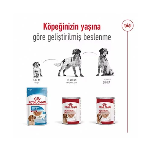 Royal Canin Loaf Mousse Orta Irk Ezme Yetişkin Köpek Konservesi 6 Adet 410 Gr - 3