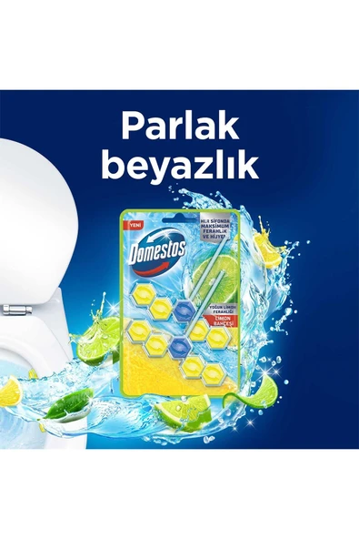 Domestos Tuvalet Bloğu Limon Bahçesi 100 G X3 - 3