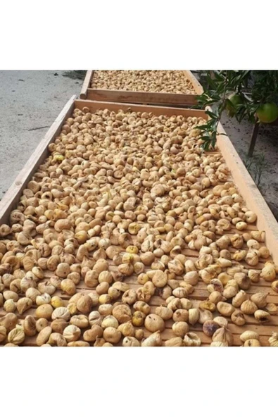 Nazilli Kuru Inciri 1 Kg - Doğal Ve Işlem Görmemiş - - 4