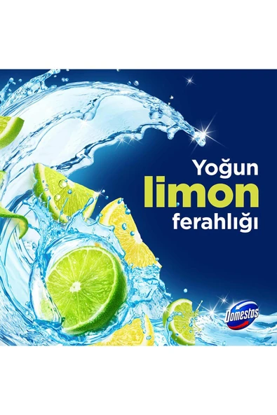 Domestos Tuvalet Bloğu Limon Bahçesi 100 G X3 - 4