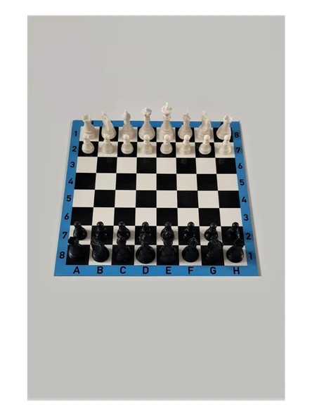 Saki Toys İnci Paketi Ahşap Satranç