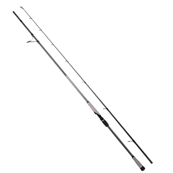 RYUJI MATRIX FUJI 3.00M 30-100 GR  2P SHORE JIG KAMIŞ  Standart Standart