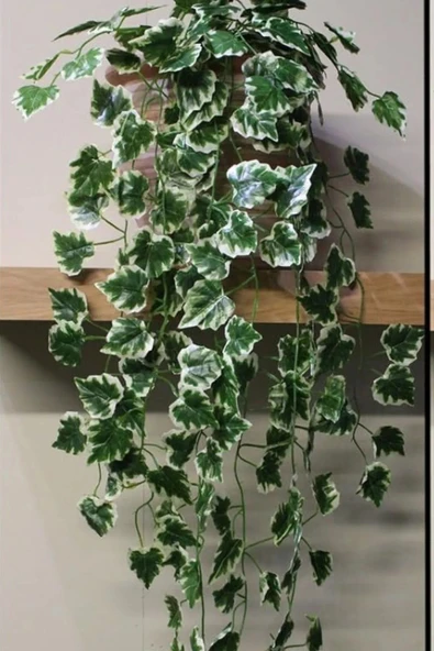 YASİMA Yapay Lux Sarmaşık 90 Cm 5 Dal Kokina Çit Ağacı Duvar Asılı Saksısız Sarkan Bitki Sarkıt - 2