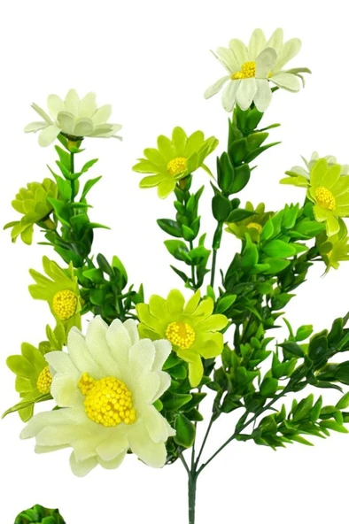 Nettenevime Yapay Çiçek Yeşil Papatya 5 Dallı Plastik Dekoratif Yapay Bitki - Resim 2