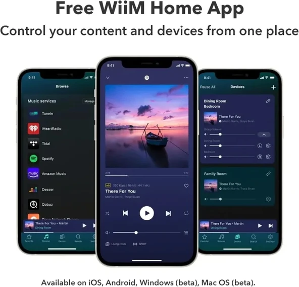 WiiM Pro AirPlay 2 - WiFi Çok Odalı Yayıncı Chromecast - 8