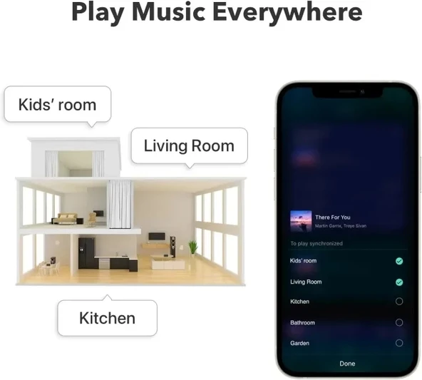 WiiM Pro AirPlay 2 - WiFi Çok Odalı Yayıncı Chromecast - 2
