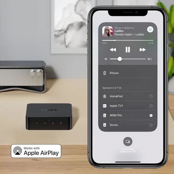 WiiM Pro AirPlay 2 - WiFi Çok Odalı Yayıncı Chromecast - 11