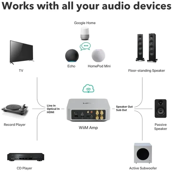 WiiM Amp: Çok Odalı Yayın Amplifikatörü - Chromecast - 5