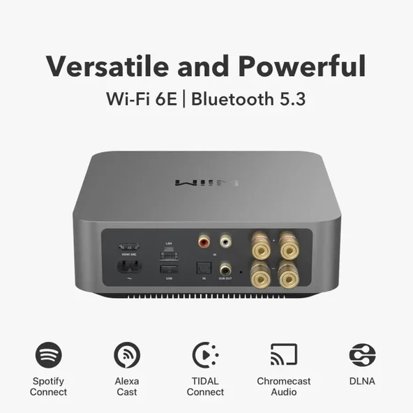 WiiM Amp: Çok Odalı Yayın Amplifikatörü - Chromecast - 2